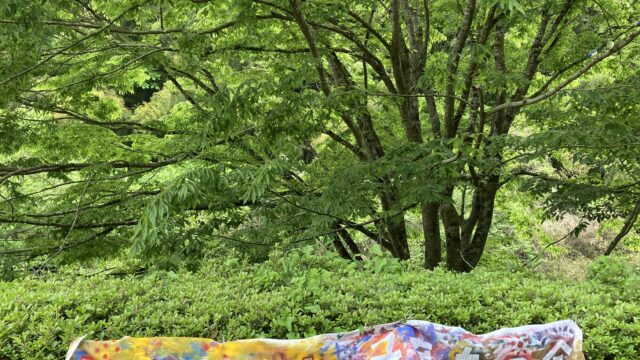＜からすやま子育ちの会　5月の活動報告>