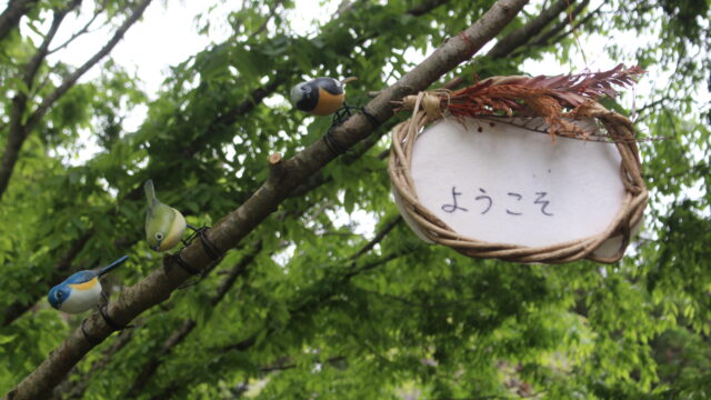 ＜施設の様子＞